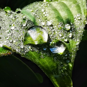 inbound3711439345194668315