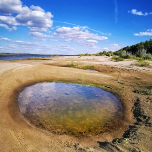 inbound8834261811083980619