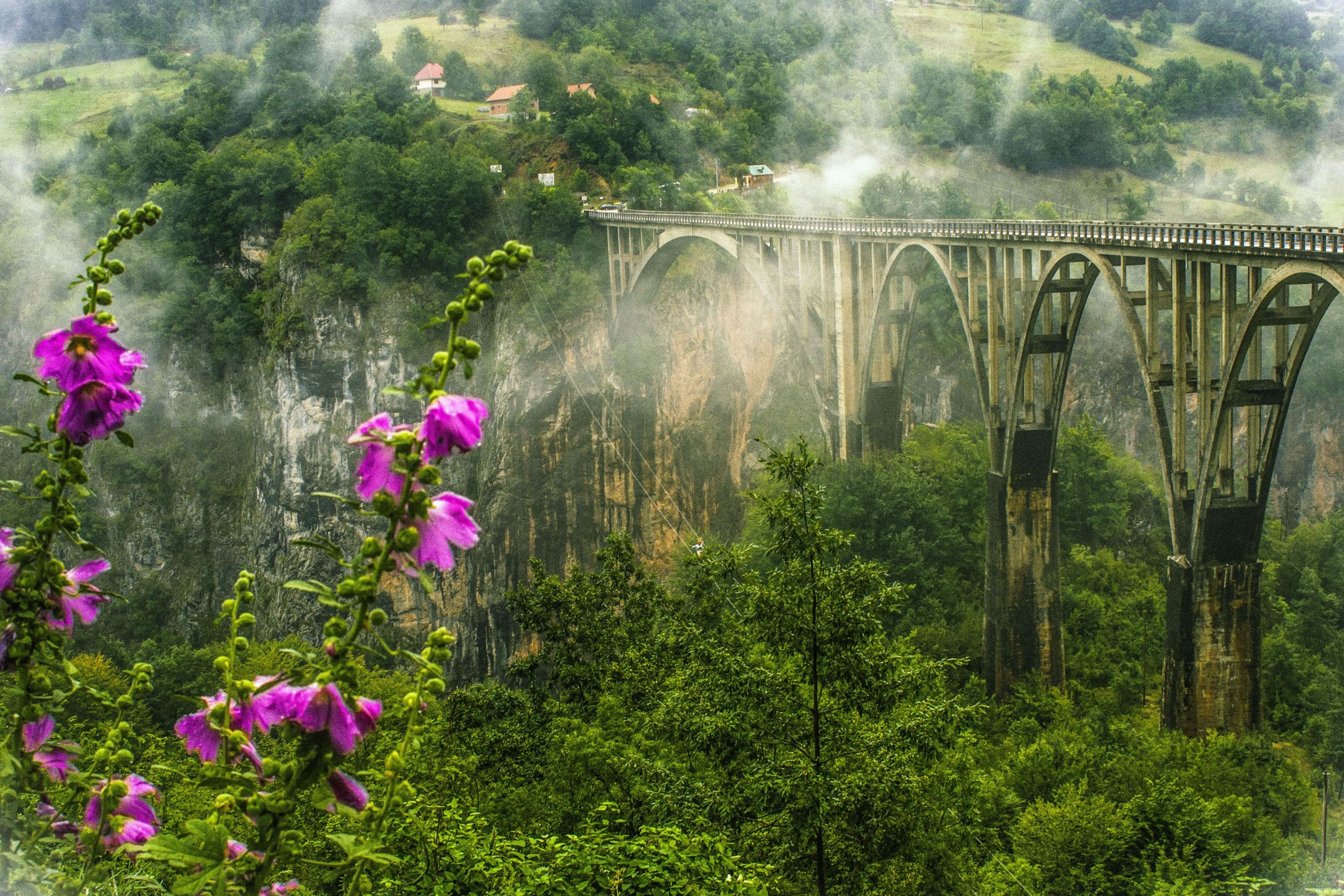 A walk through the clouds