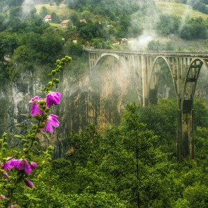 A walk through the clouds