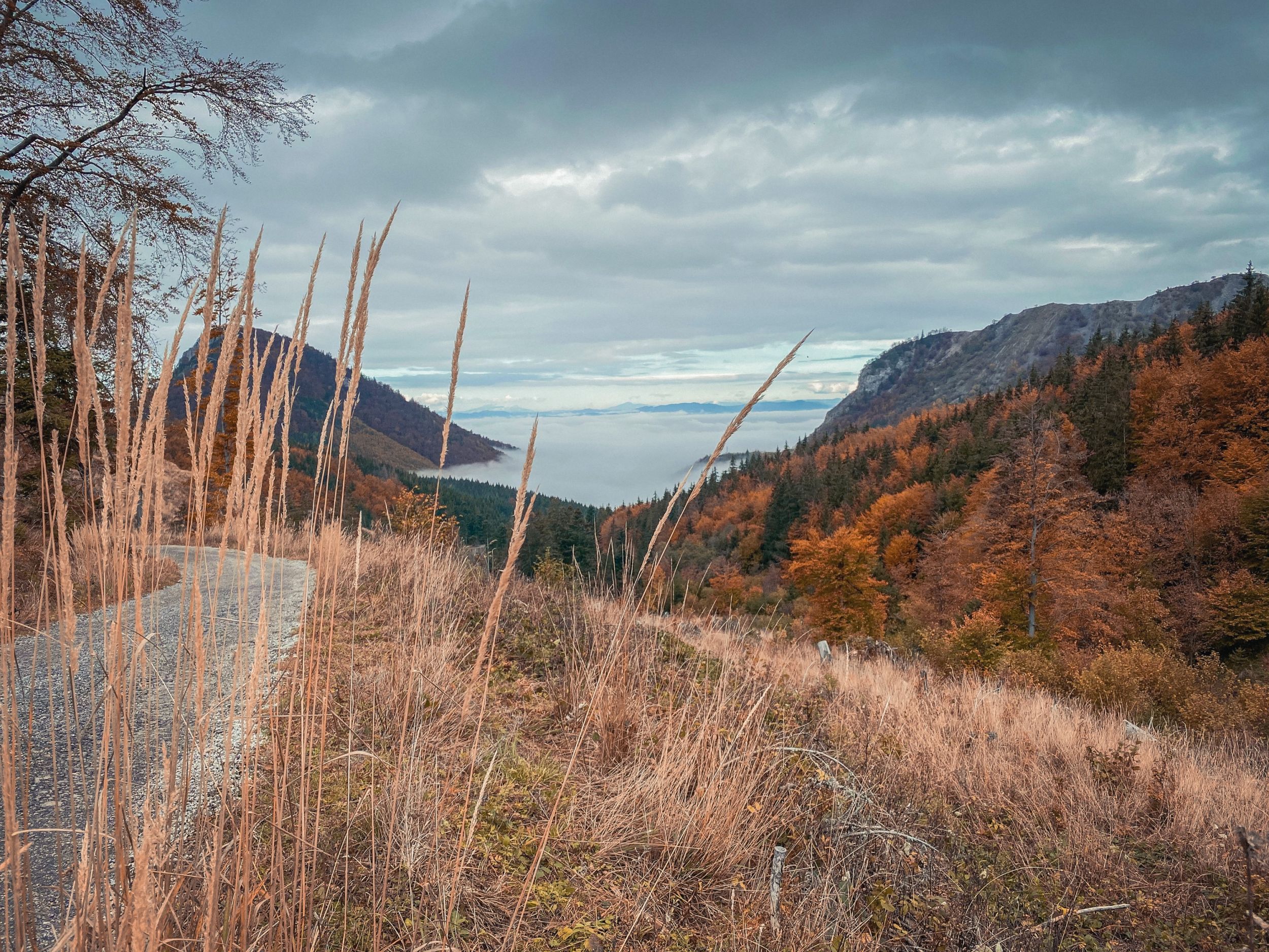 11B86914-94E0-4104-81ED-1F3B2A2BDF34