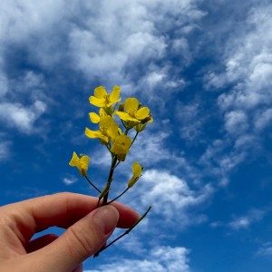 IMG_0463