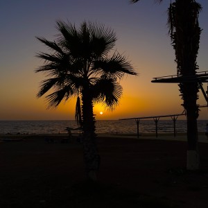 IMG_0618