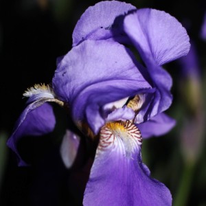 202005024544178653746266263_Original