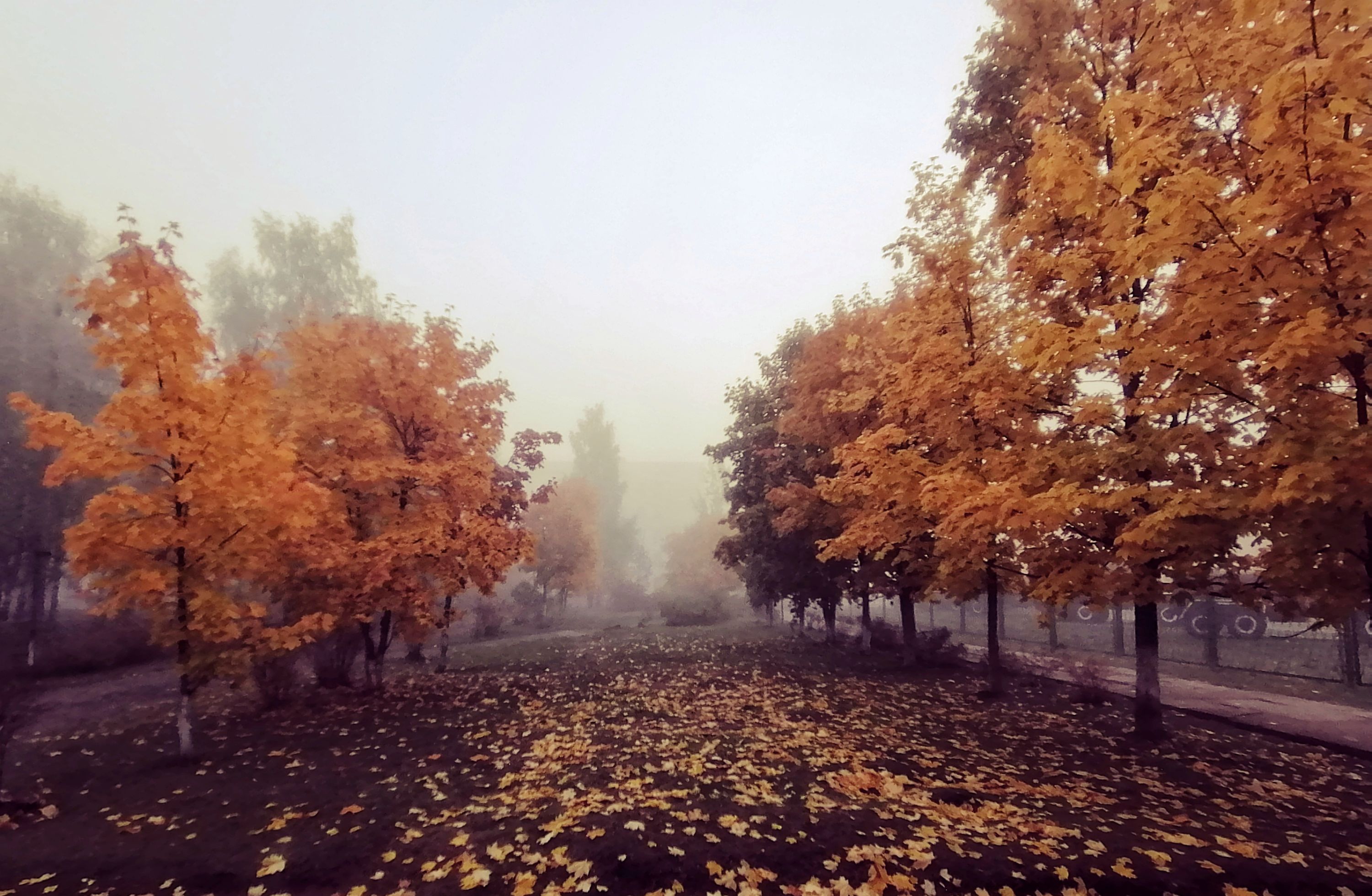 IMG_20221001_074538-01