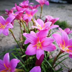 03