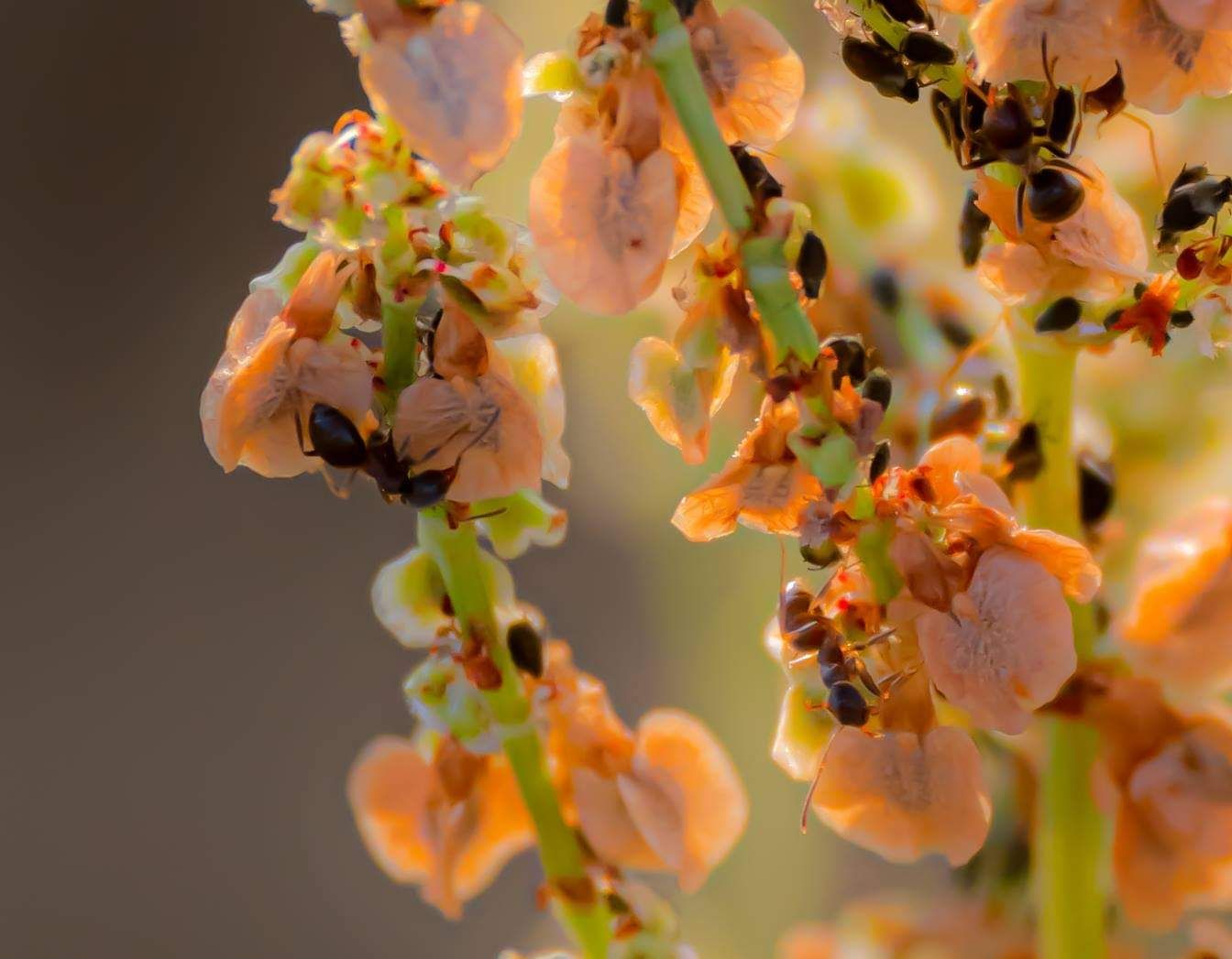 received_494977118468322