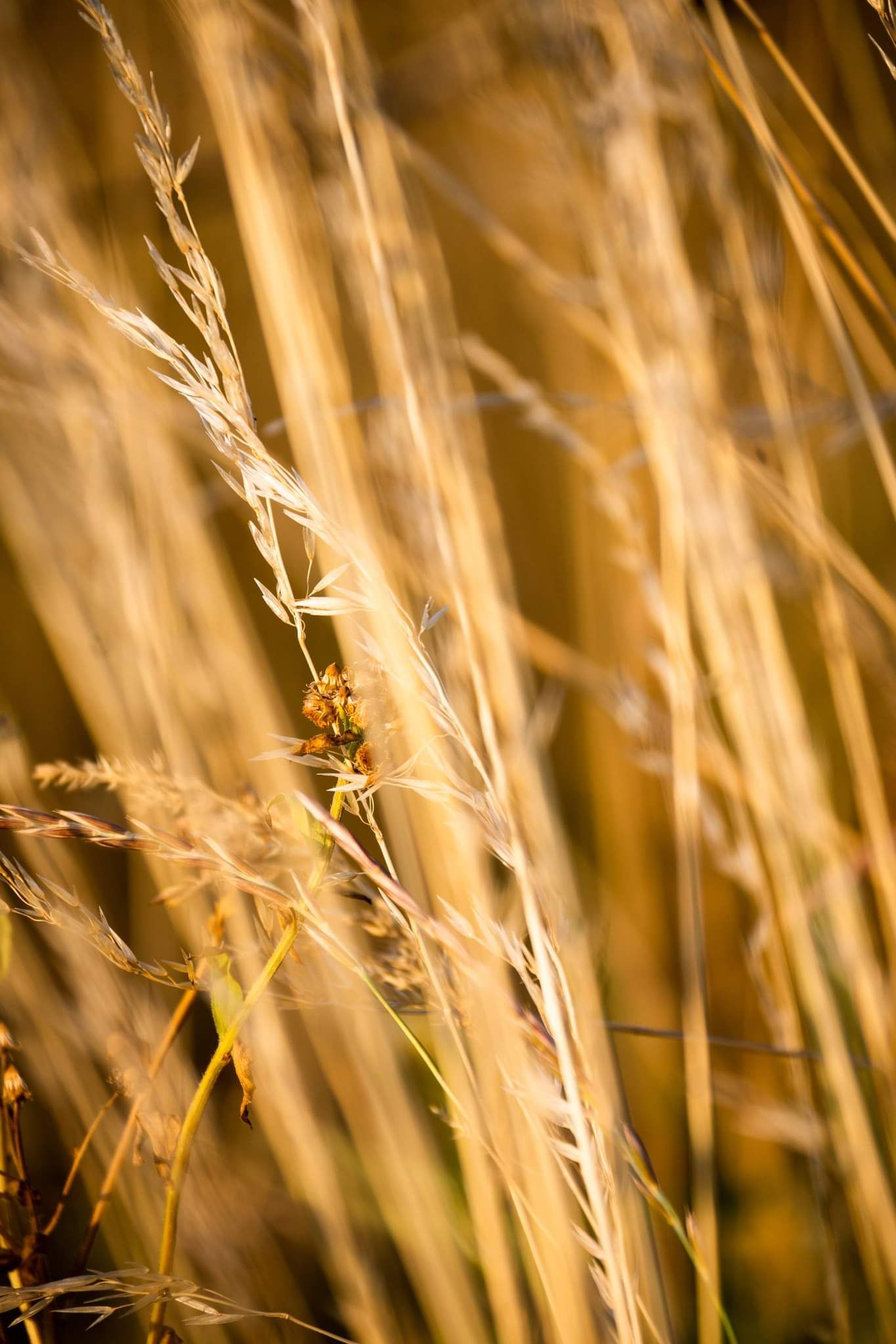 received_980005499520910