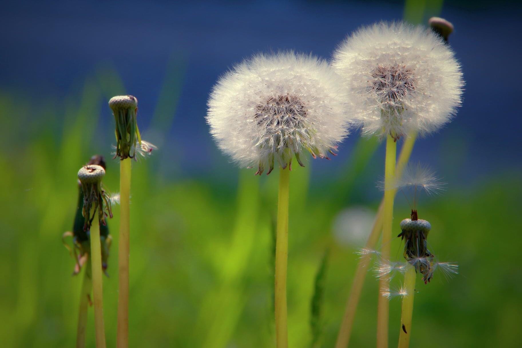 9CA0C550-86F6-4CA6-AB8B-FFB0826B56F8