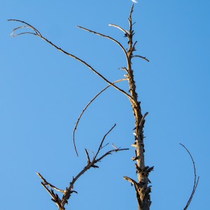 IMG_20200806_224122_686