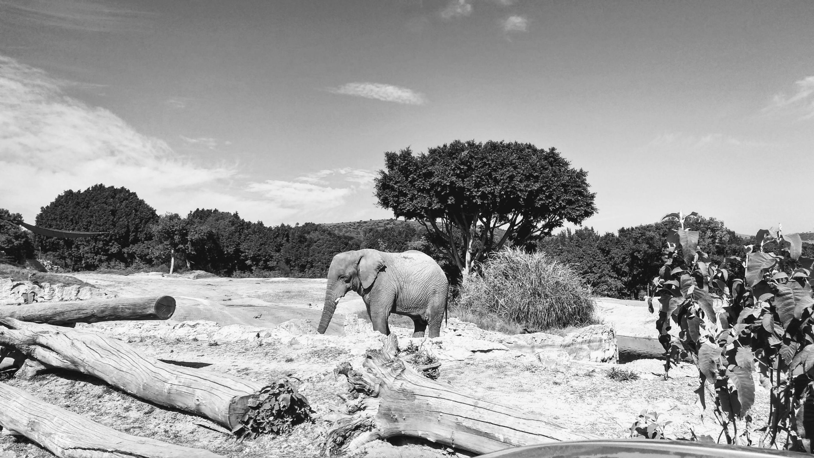 IMG_20181231_141055678_HDR-EFFECTS