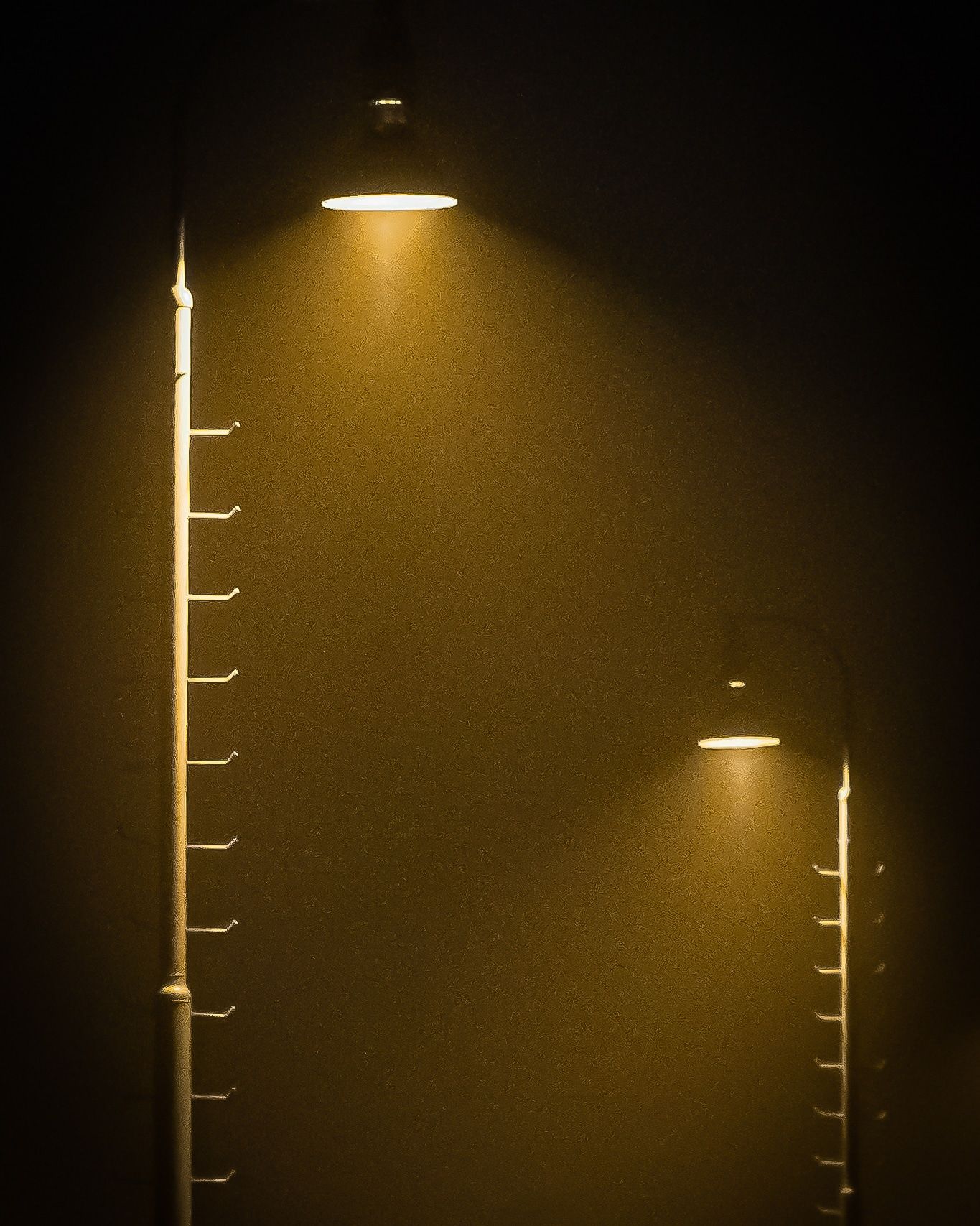 inbound561465907430046309