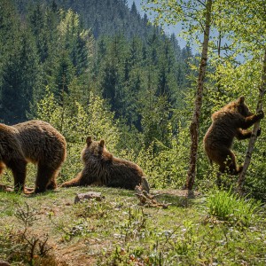 PSX_20201215_023055