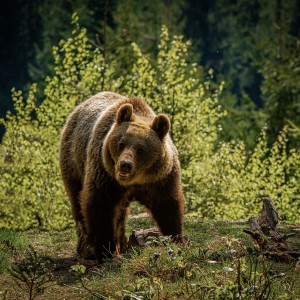 PSX_20201216_013401