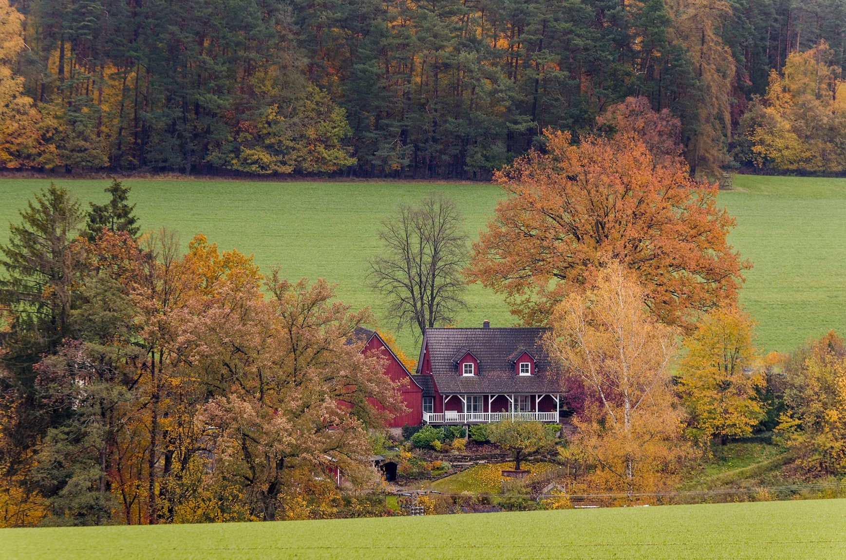 IMG_20201102_125515_027