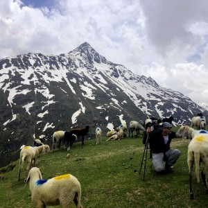 IMG-20190616-WA0016a