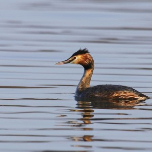 IMG_2236