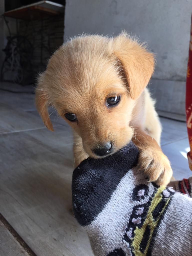 inbound4183835982447600677