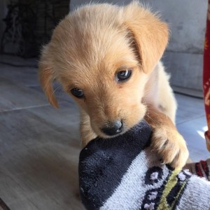 inbound4183835982447600677