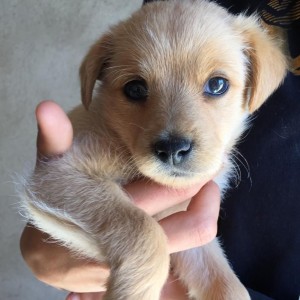 inbound4921488306939146271