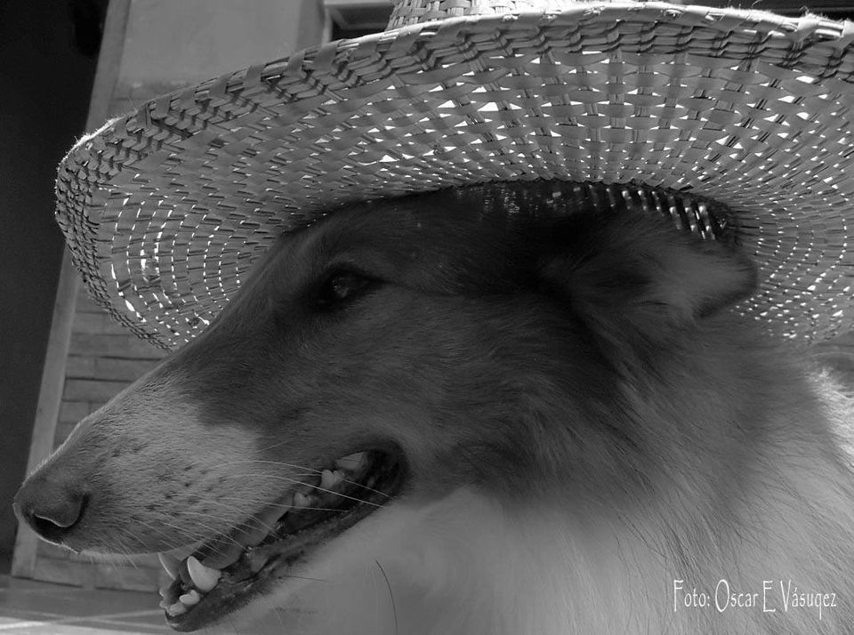 123583836_988453051659067_8580193376845417254_n