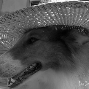 123583836_988453051659067_8580193376845417254_n