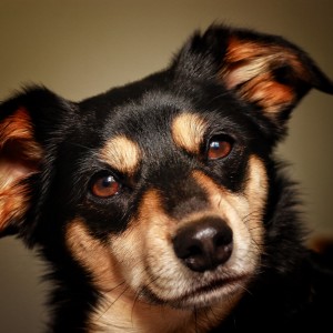 EA00DFD5-67F0-43C1-AB53-F183BE8FCD25