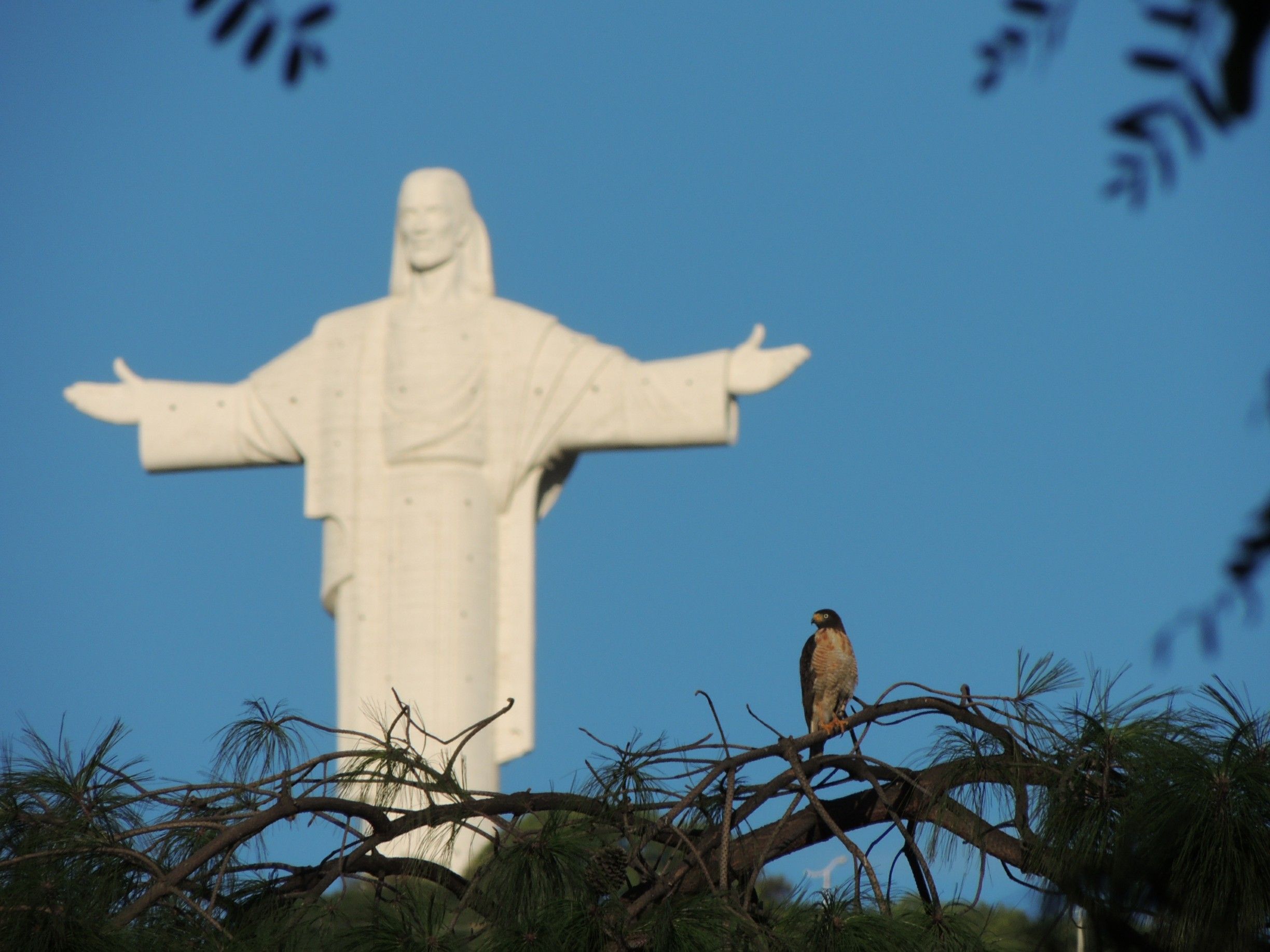 Visitante inesperado