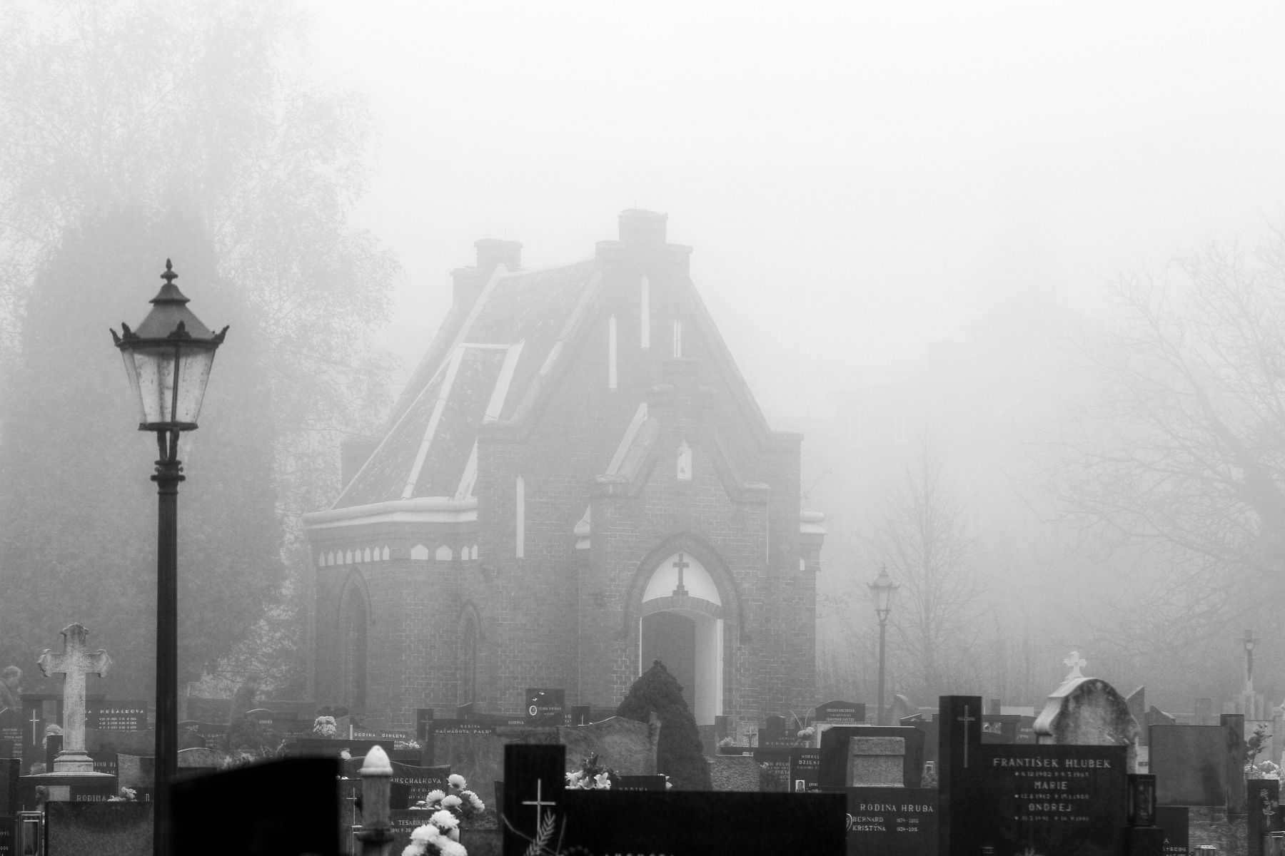 inbound8267449518782209328