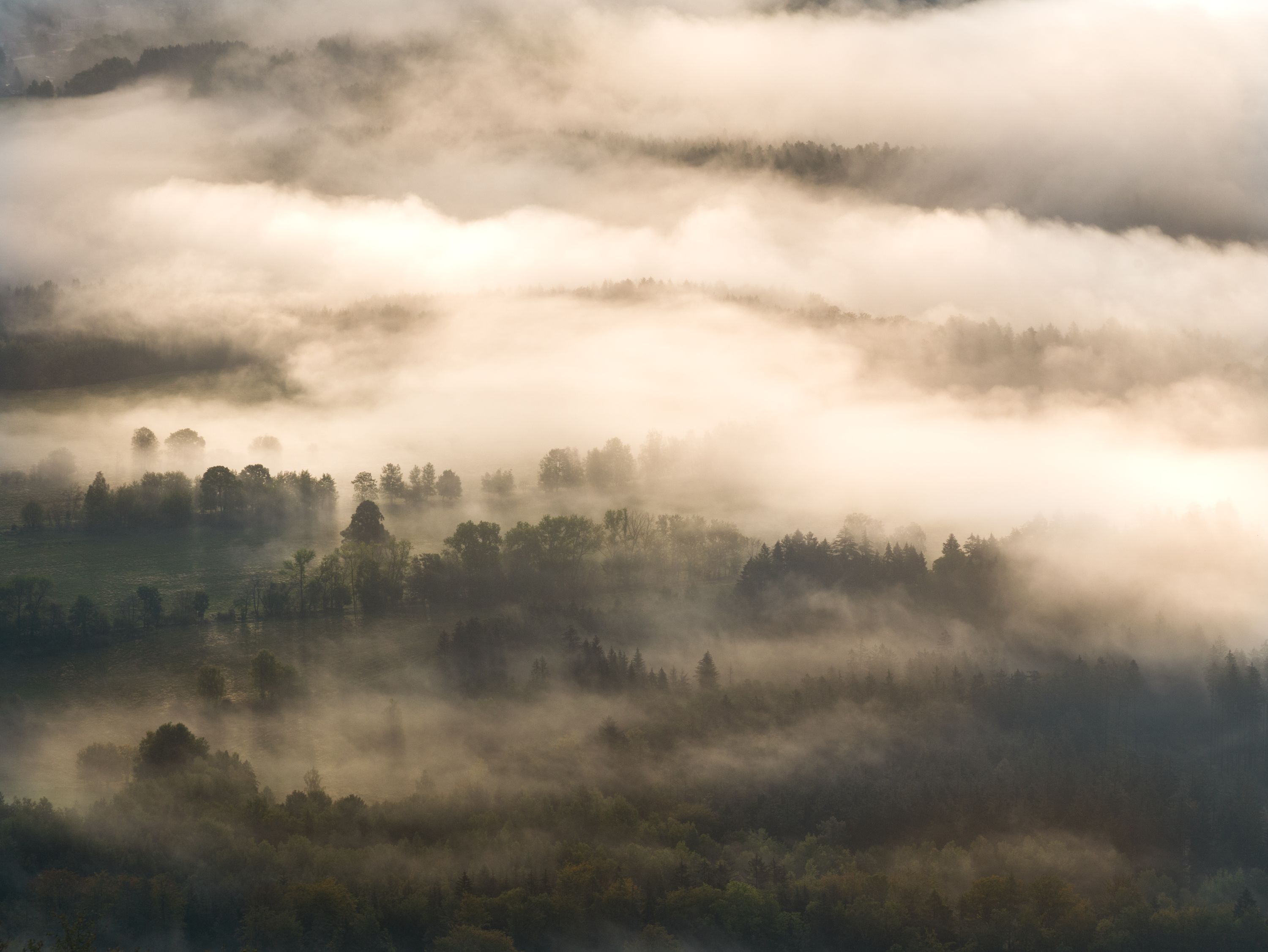 Foggy morning in Lusatian mountains