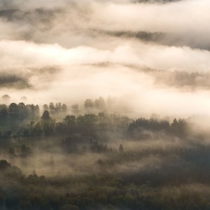 Foggy morning in Lusatian mountains