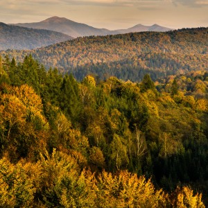 Autumn in Bieszczady