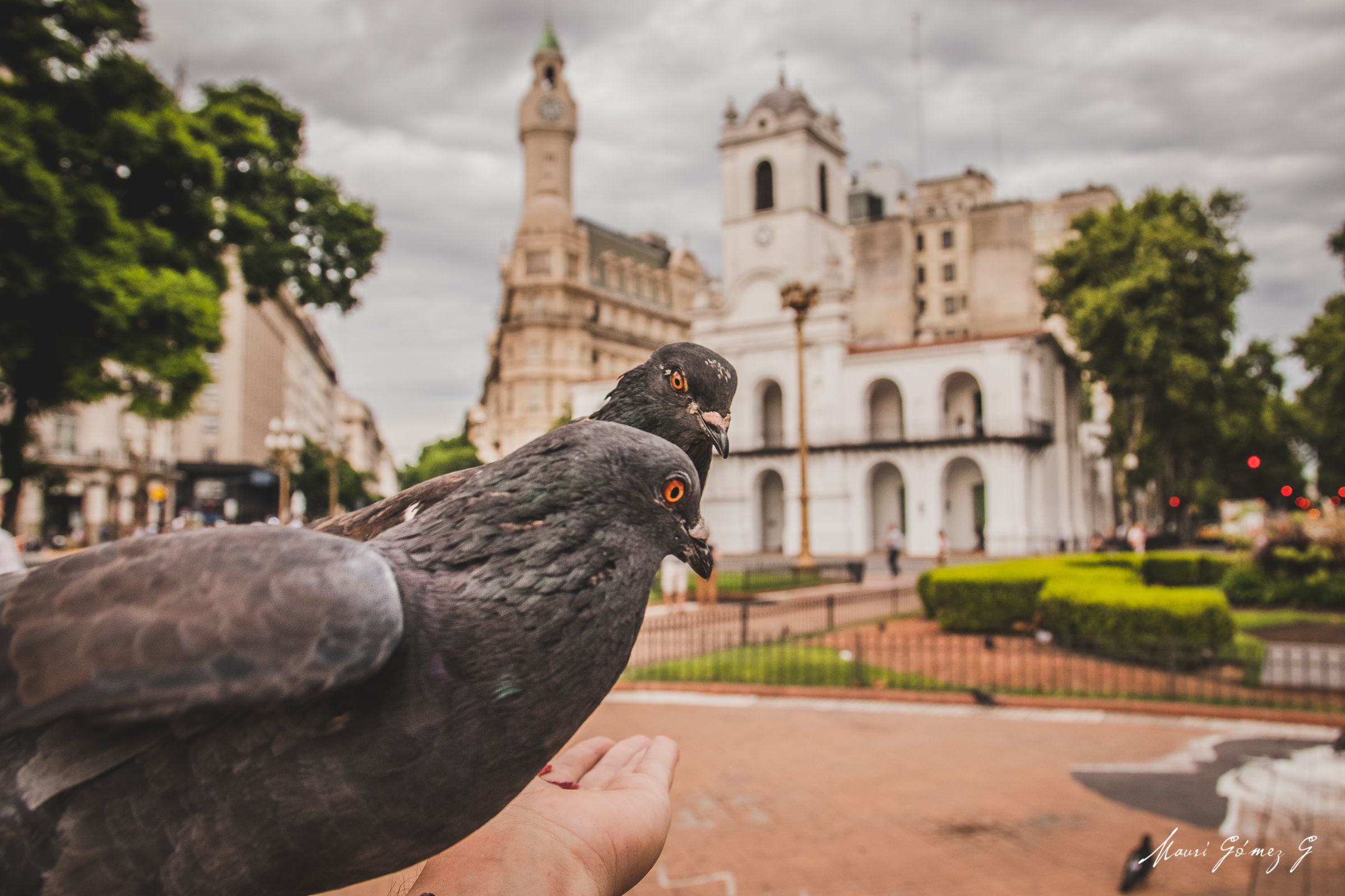 Plaza de Mayo - Buenos Aires