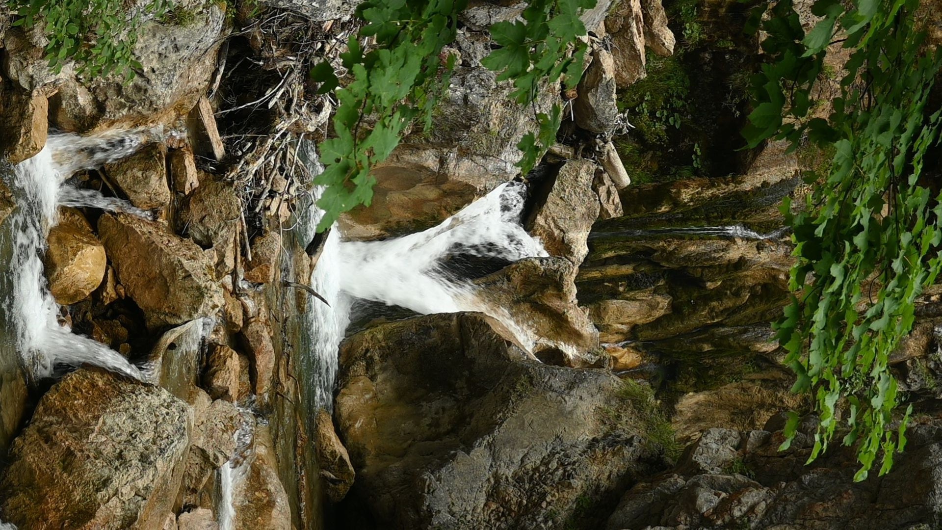 DSC_1653