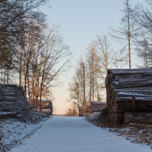 DSC_5988a