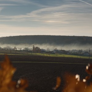 DSC_0987