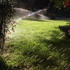 108871-013v_resize