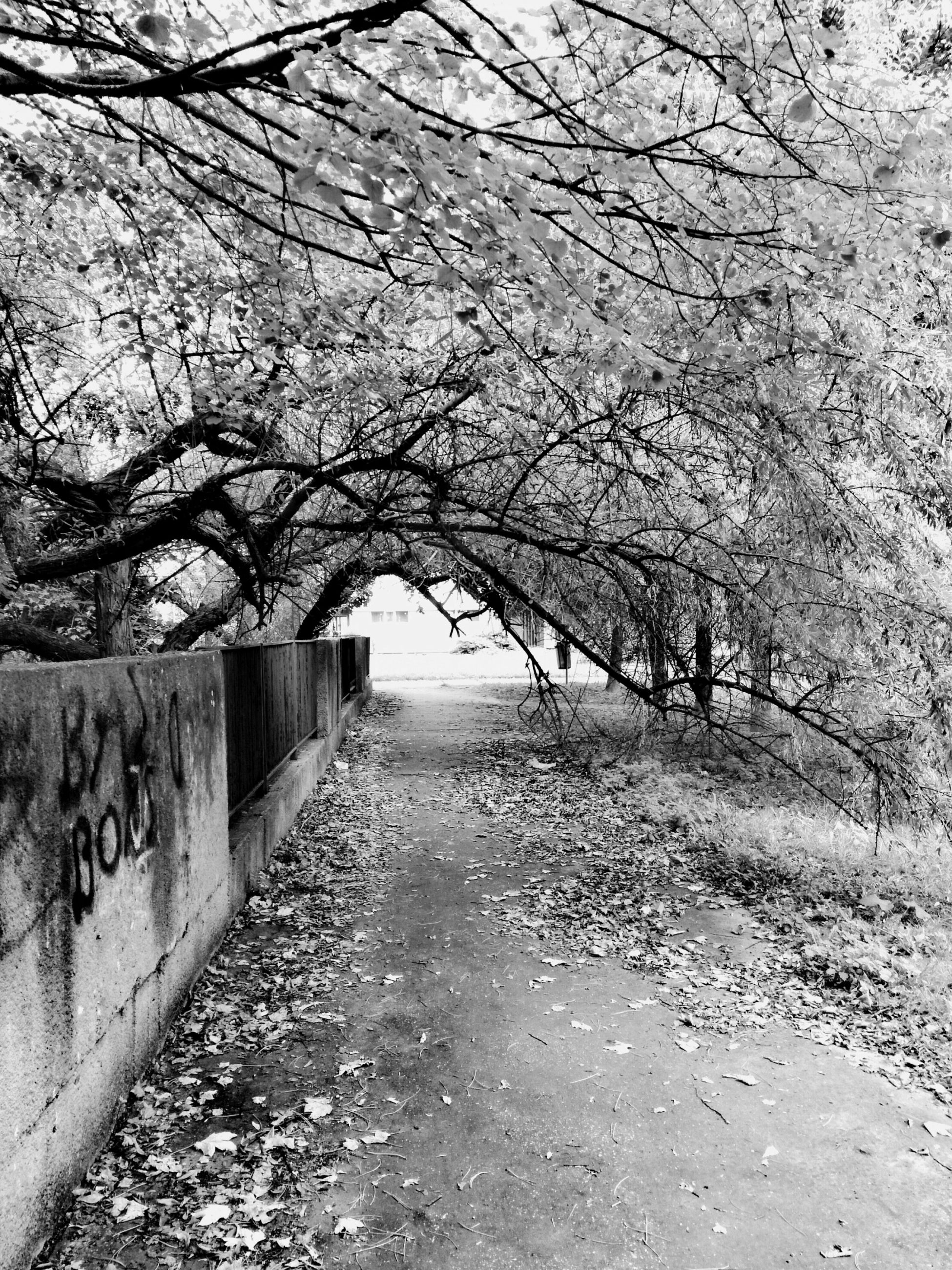 Black and white