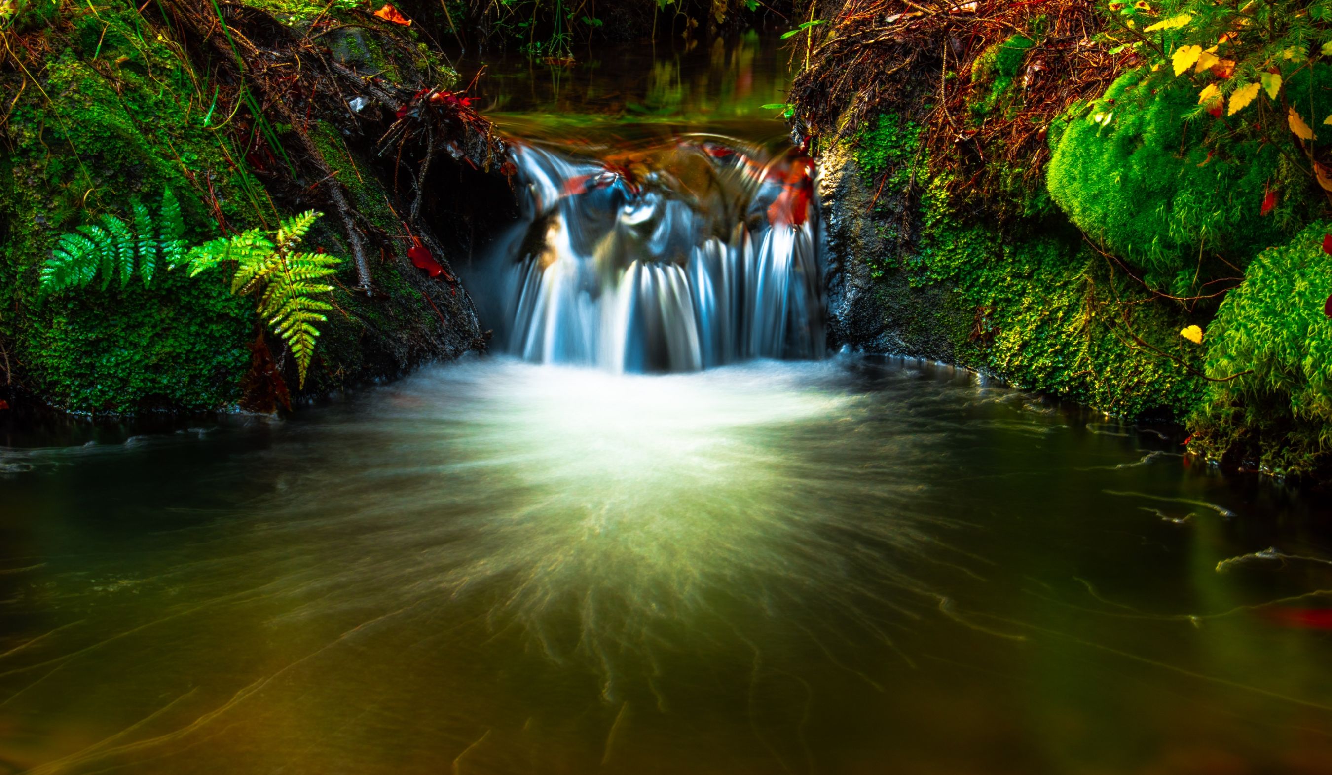 09AB5FBC-1BF0-4A85-B647-8DB21F712188