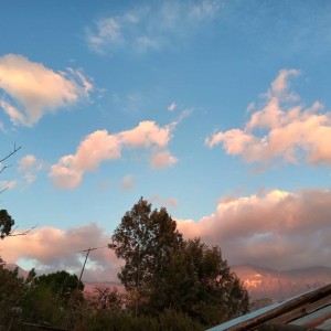 IMG_20201122_183318_152