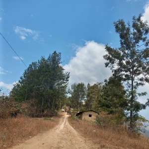 IMG_20201122_130726_688