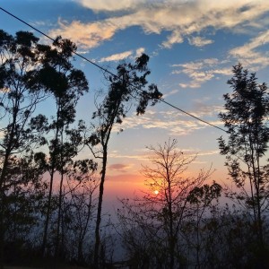 IMG_20201122_183149_134