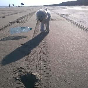 Princesa ? limpiando la playa Necochea