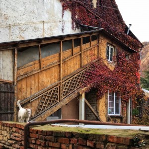 32034D35-CD08-456B-86F7-EB0CFE35F68E