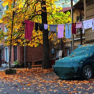 3B085CF7-2777-488A-A40F-D4837CB54D94