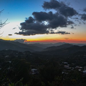 profundobosque-4