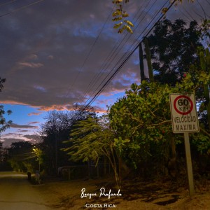 profundobosque-3