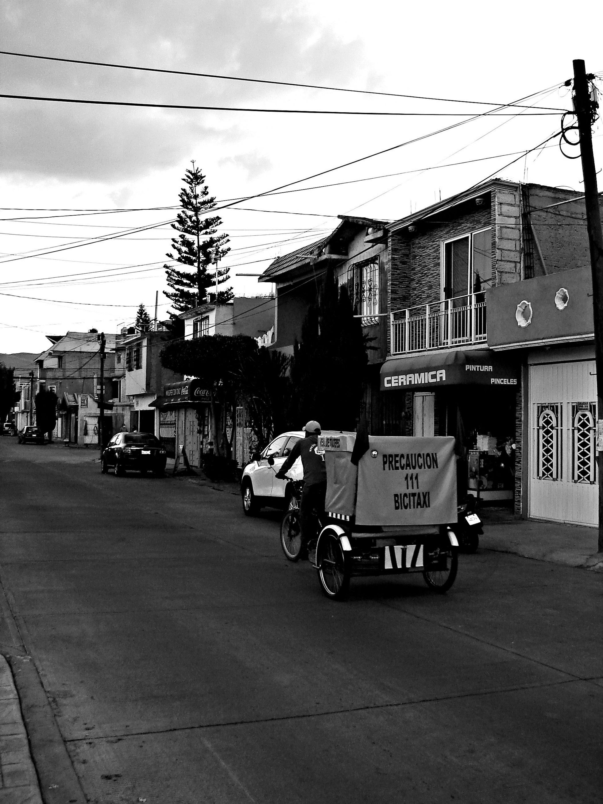 Bicitaxi II