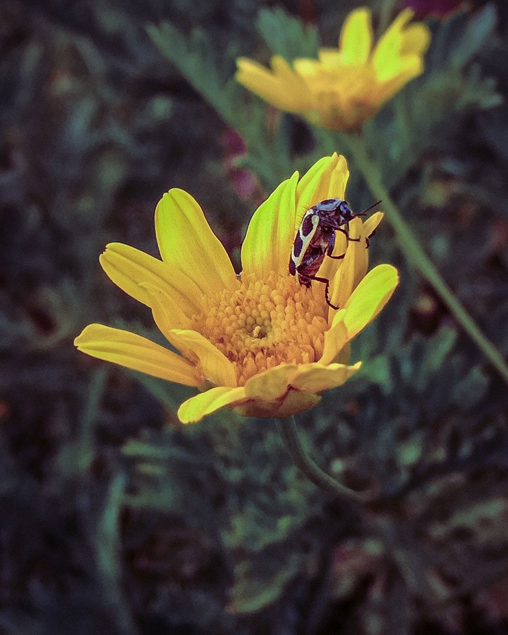 IMG_20210218_072406_936