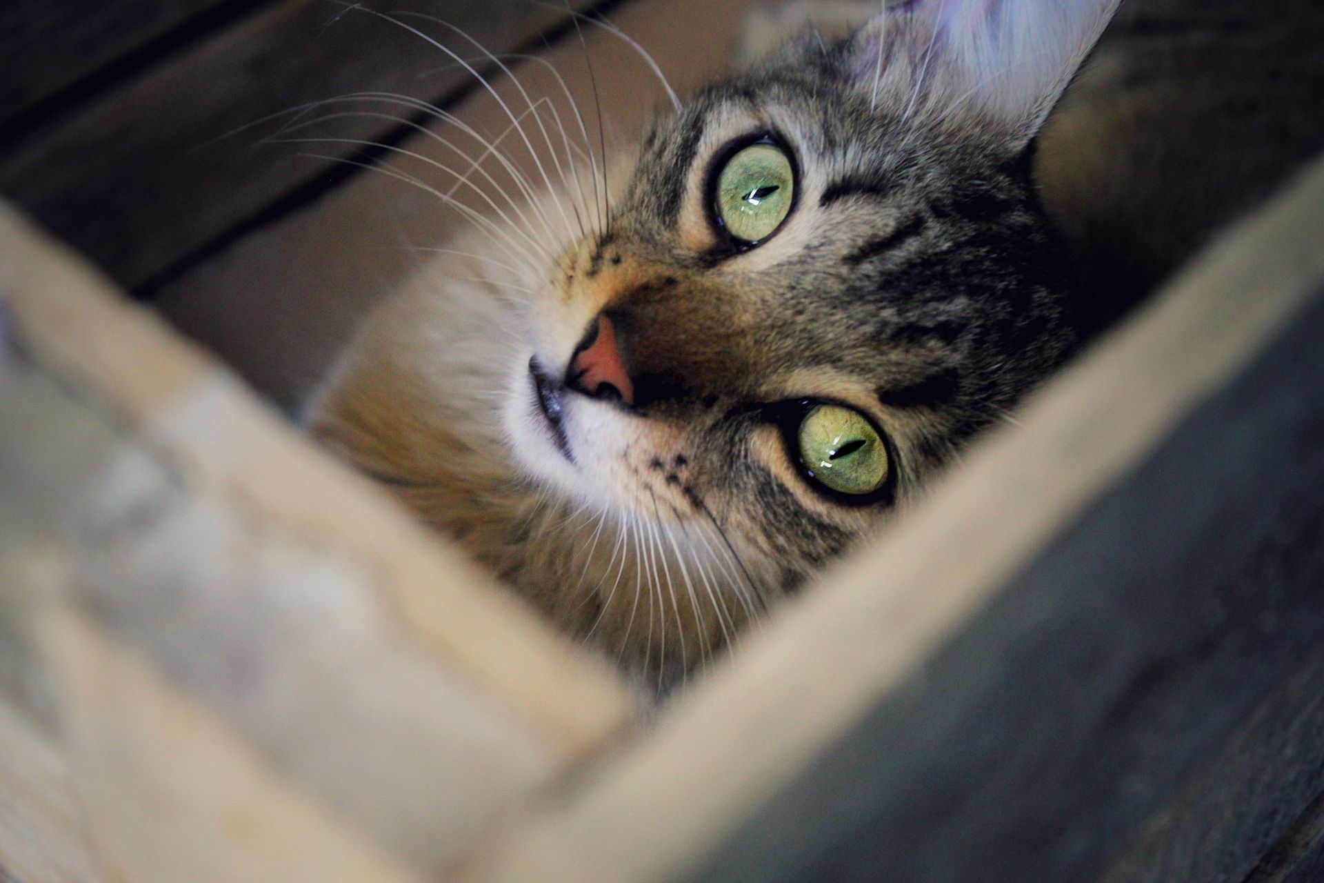 20200719185703_IMG_0634-01